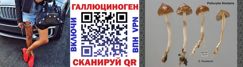 Галлюциногенные грибы прущие грибы  МЕГА онион  Вилюйск 